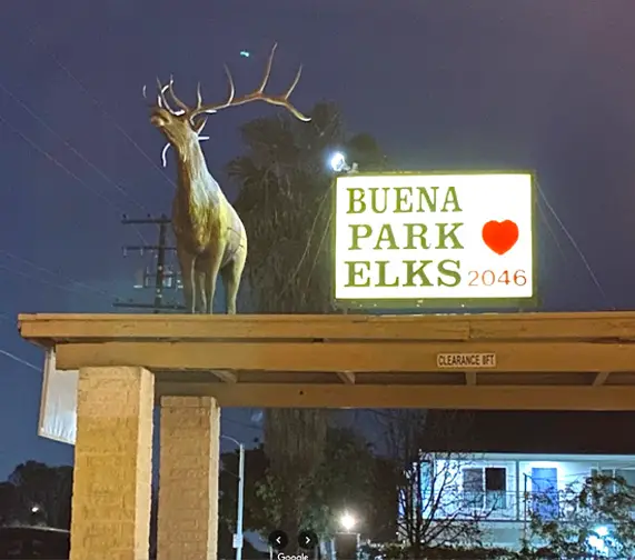 elks introShot 2024