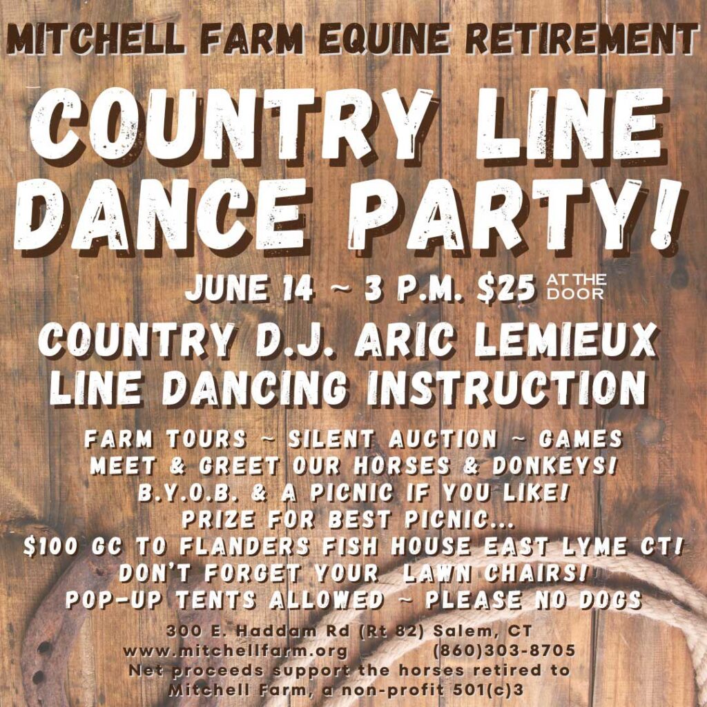 504927436 710541944920991 8822766044548518902 n