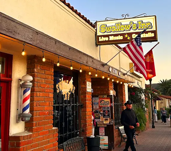 swallows introShot 2024