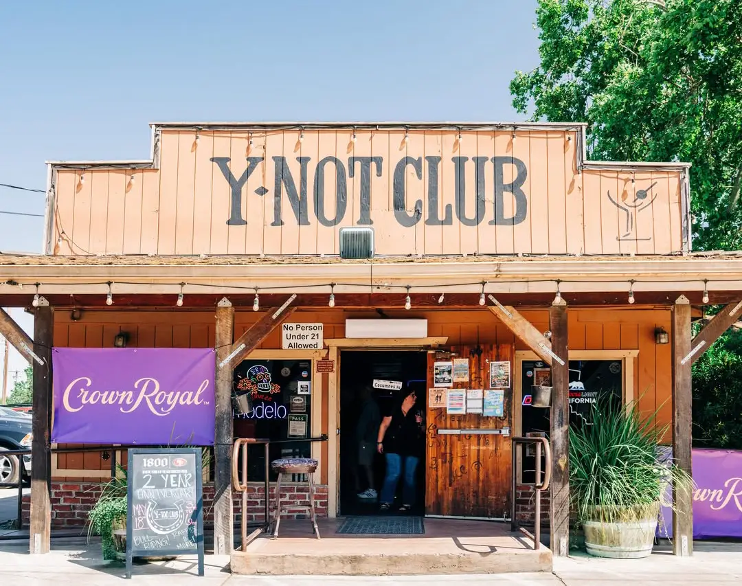 ynotclub 1